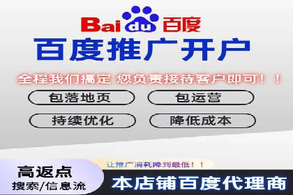 百度品牌专区推广的成效与案例